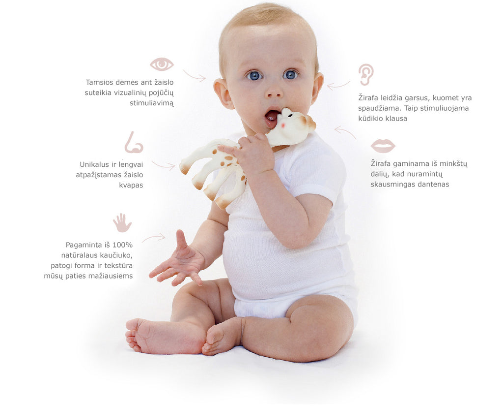 Vulli kramtukai Sophie la Girafe